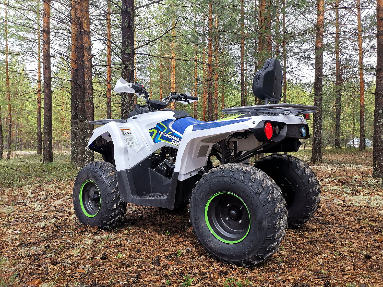 Квадроцикл PROMAX RENEGADE 280 (2025) в Новосибирске