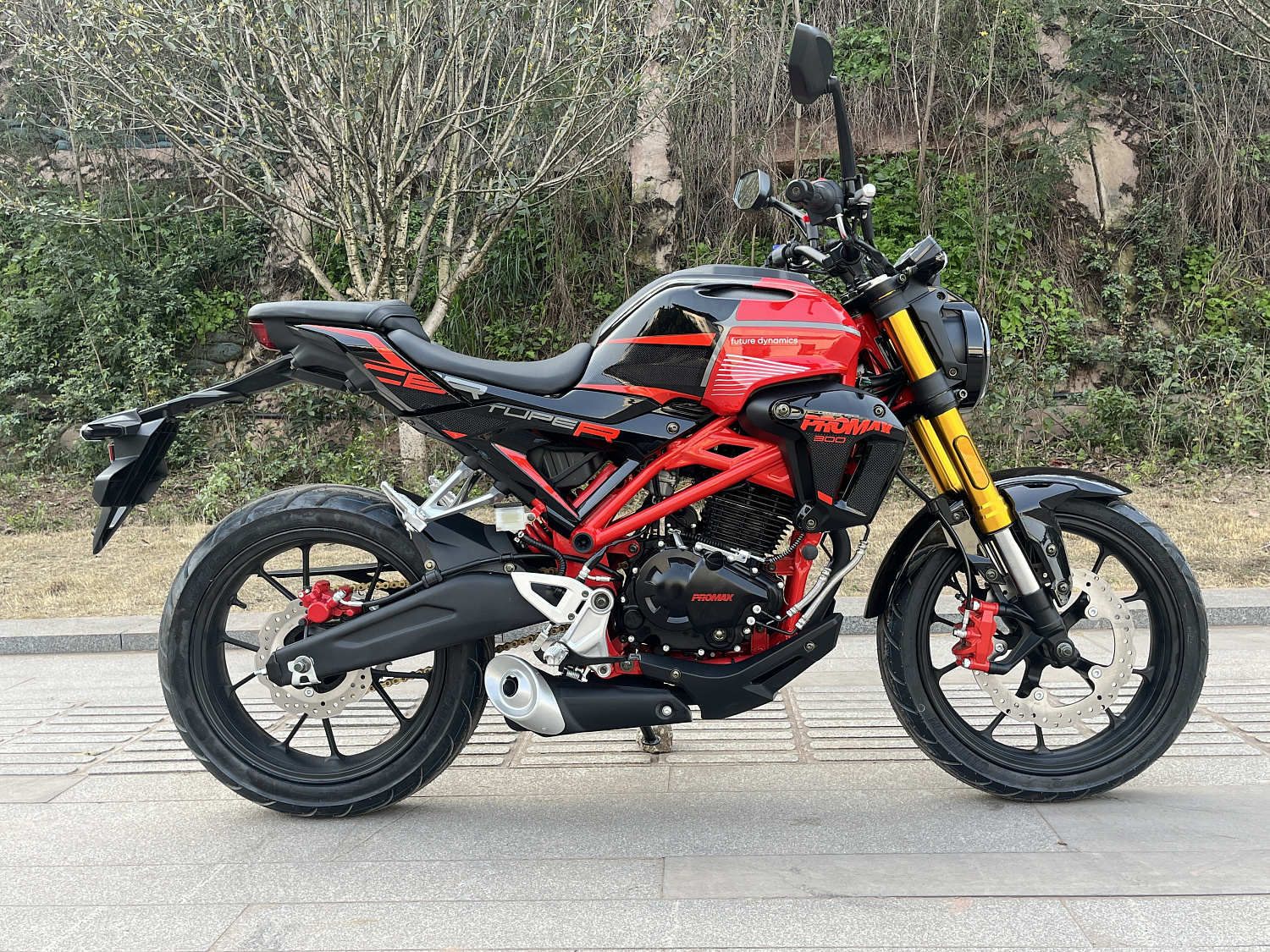 Мотоцикл PROMAX CB300 в Новосибирске