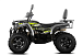 Квадроцикл GBM CROSS HILL 320 BIG PREMIUM в Новосибирске