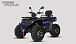 Квадроцикл PROMAX TAURUS 300 MAX-PRO LONG в Новосибирске