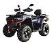 Квадроцикл MOTOLAND (МОТОЛЕНД) 300 MAX X в Новосибирске