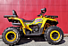Квадроцикл PROMAX STORM 280 LUX в Новосибирске