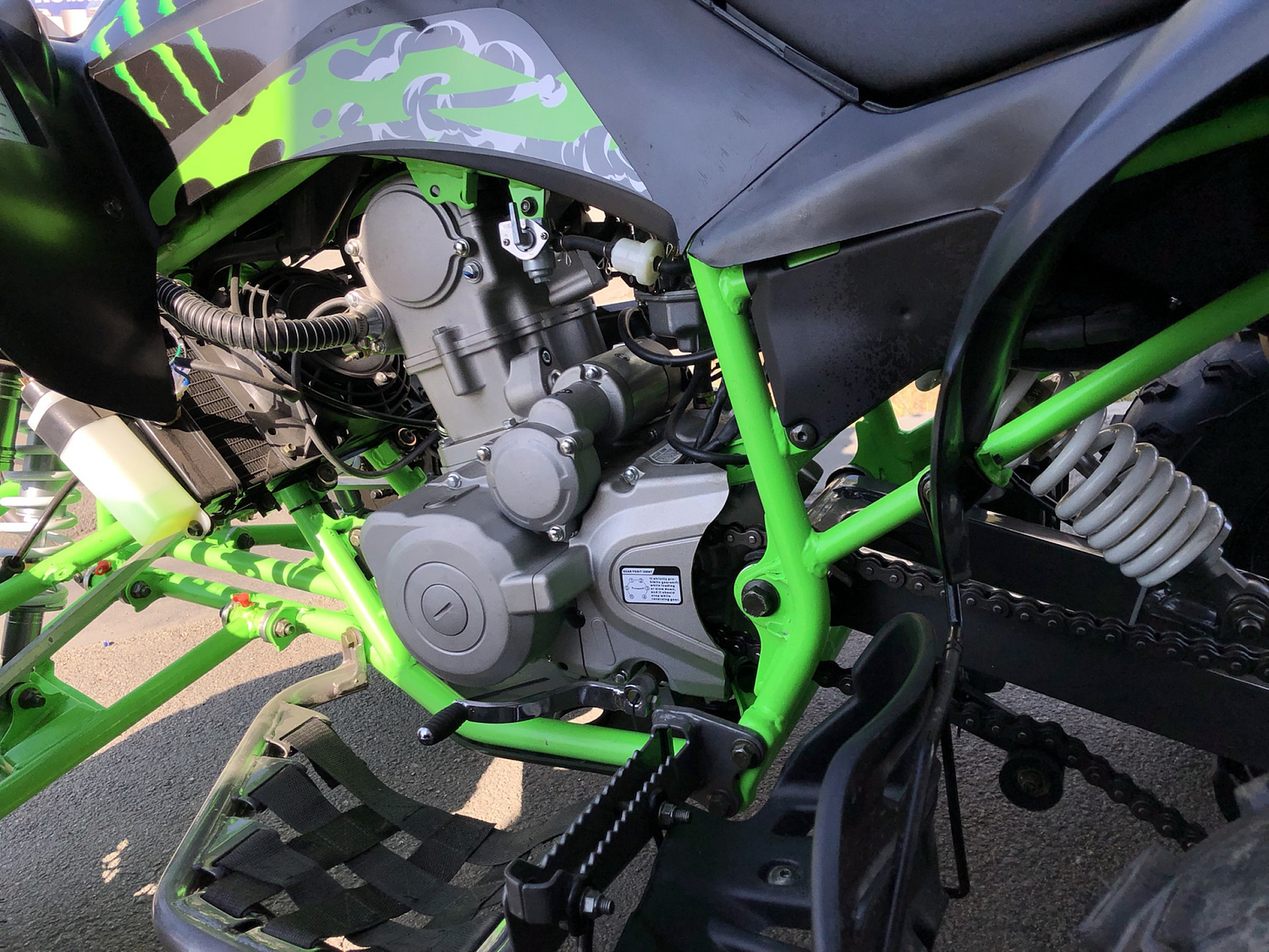 Квадроцикл PROMAX RAPTOR 300 NEW Monster в Новосибирске