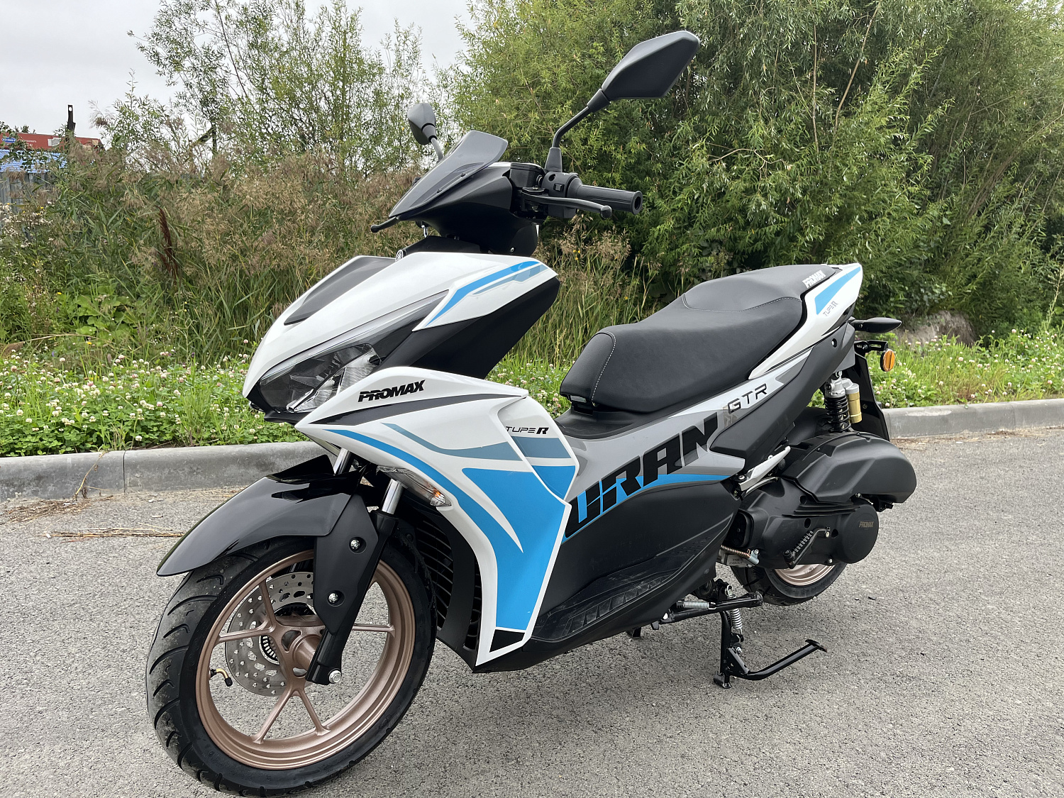 Скутер PROMAX TURAN 250 (49) в Новосибирске