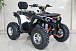 Квадроцикл GBM STORMRIDER 320 PREMIUM в Новосибирске