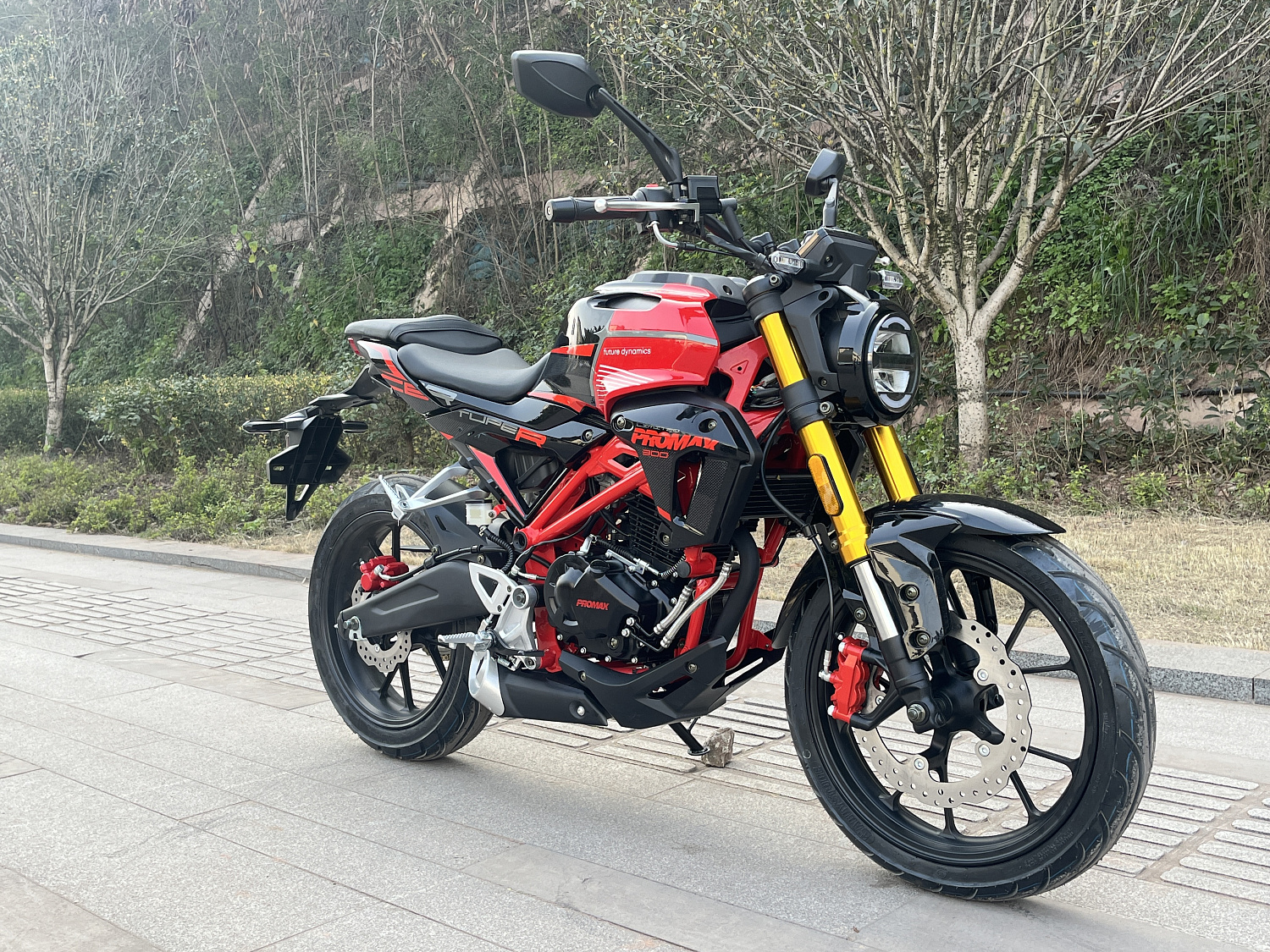 Мотоцикл PROMAX CB300 в Новосибирске