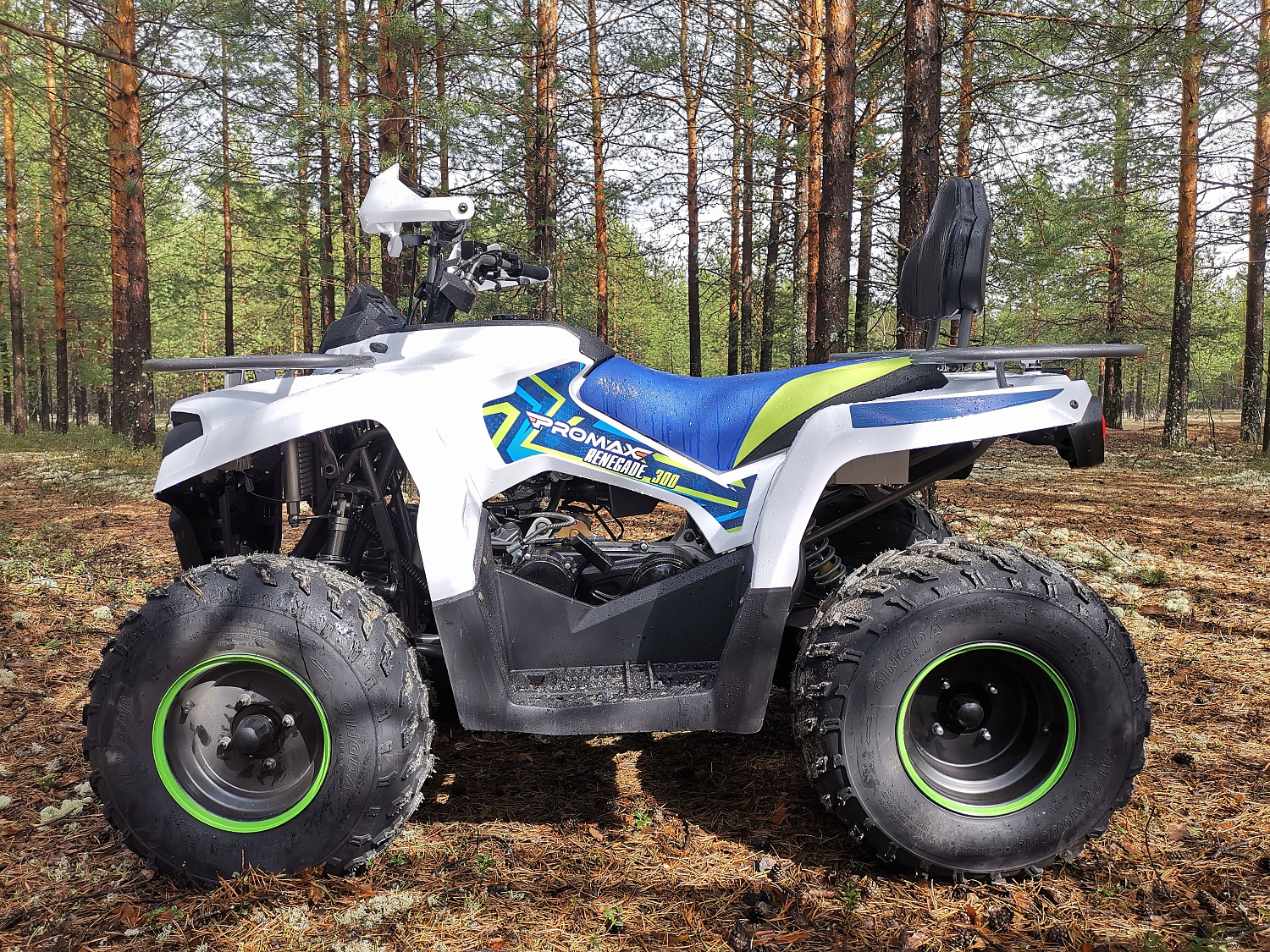 Квадроцикл PROMAX RENEGADE 280 (2025) в Новосибирске