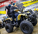 Квадроцикл PROMAX ATV 250 (2025) в Новосибирске