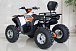 Квадроцикл GBM STORMRIDER 320 PREMIUM в Новосибирске