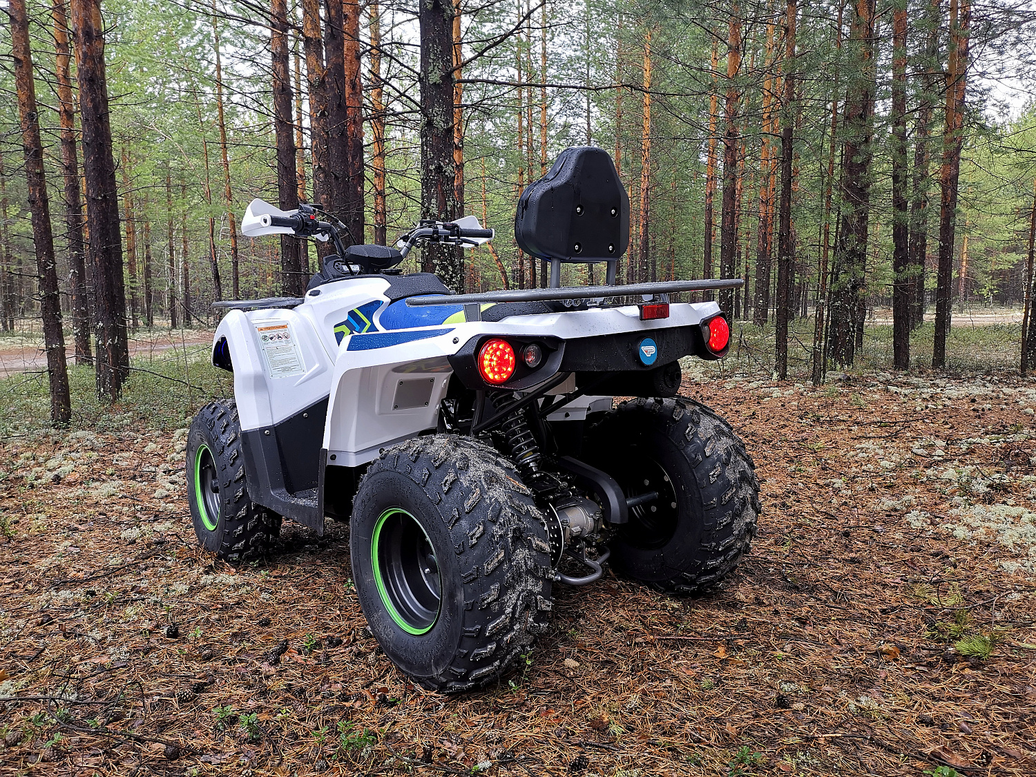 Квадроцикл PROMAX RENEGADE 280 (2025) в Новосибирске