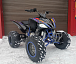 Квадроцикл PROMAX RAPTOR 300 NEW RedBull в Новосибирске