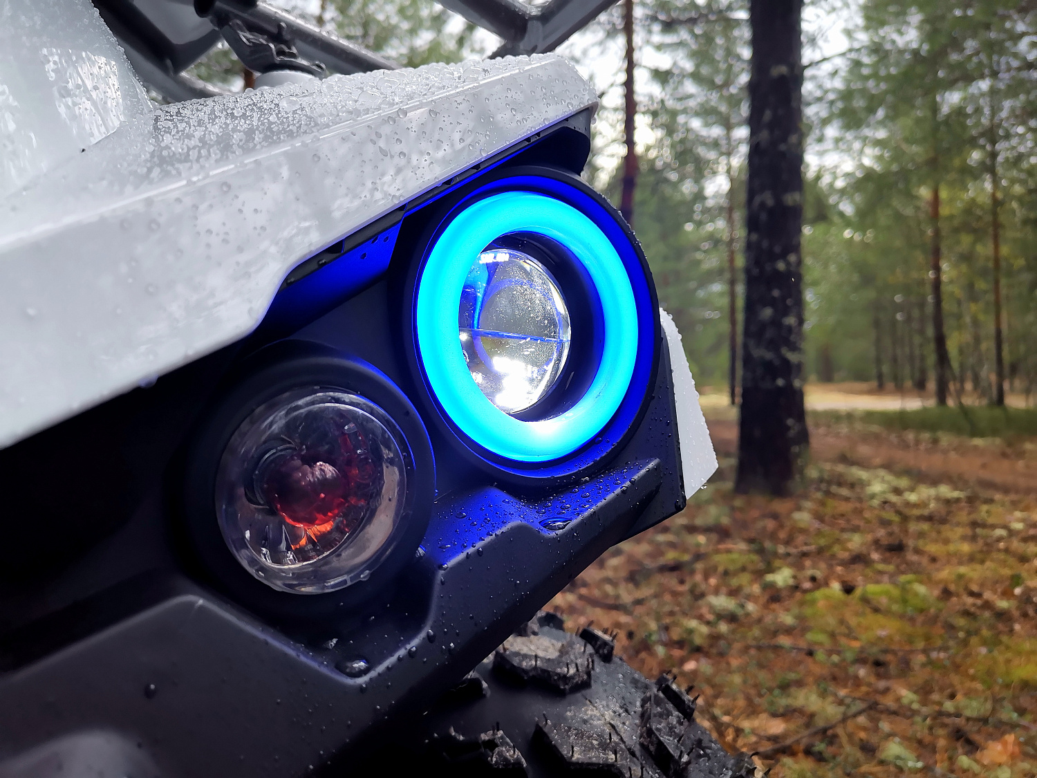 Квадроцикл PROMAX RENEGADE 280 (2025) в Новосибирске