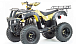Квадроцикл MOTOLAND (МОТОЛЕНД) 250 ADVENTURE в Новосибирске