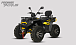 Квадроцикл PROMAX TAURUS 300 MAX-PRO LONG в Новосибирске